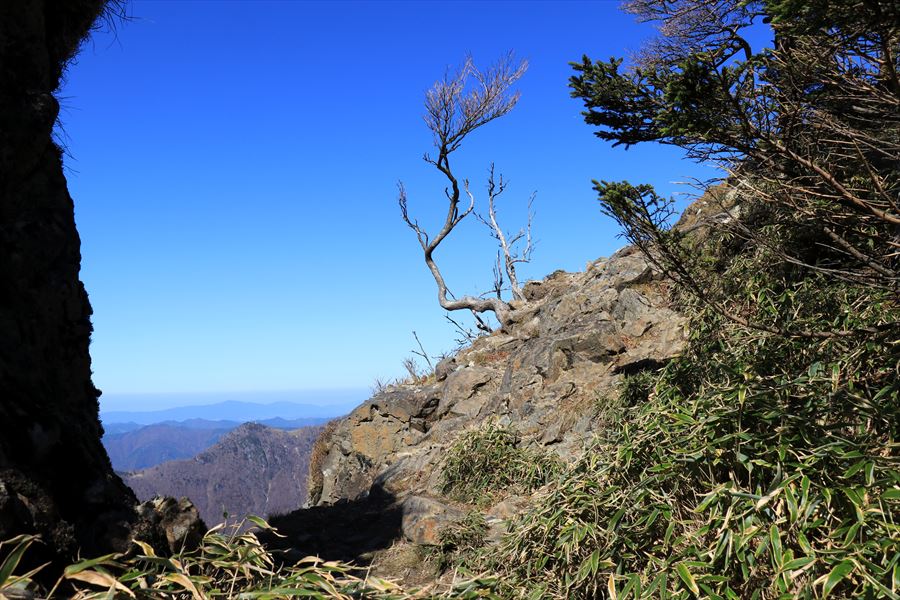 f:id:SISIS:20191203014517j:plain f:id:SISIS:20191203014517j:plain
