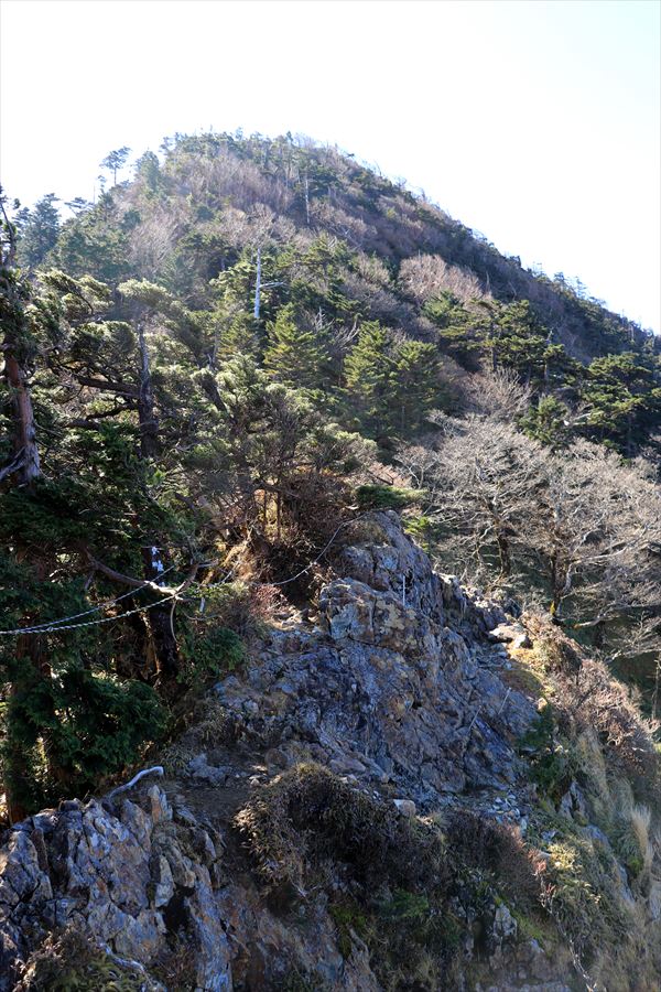 f:id:SISIS:20191203014520j:plain f:id:SISIS:20191203014520j:plain