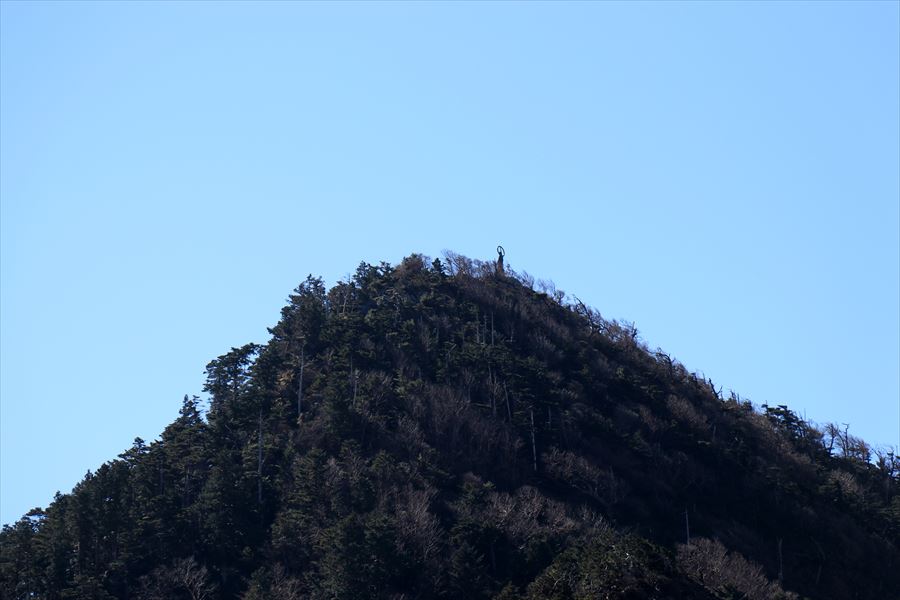 f:id:SISIS:20191203014540j:plain f:id:SISIS:20191203014540j:plain