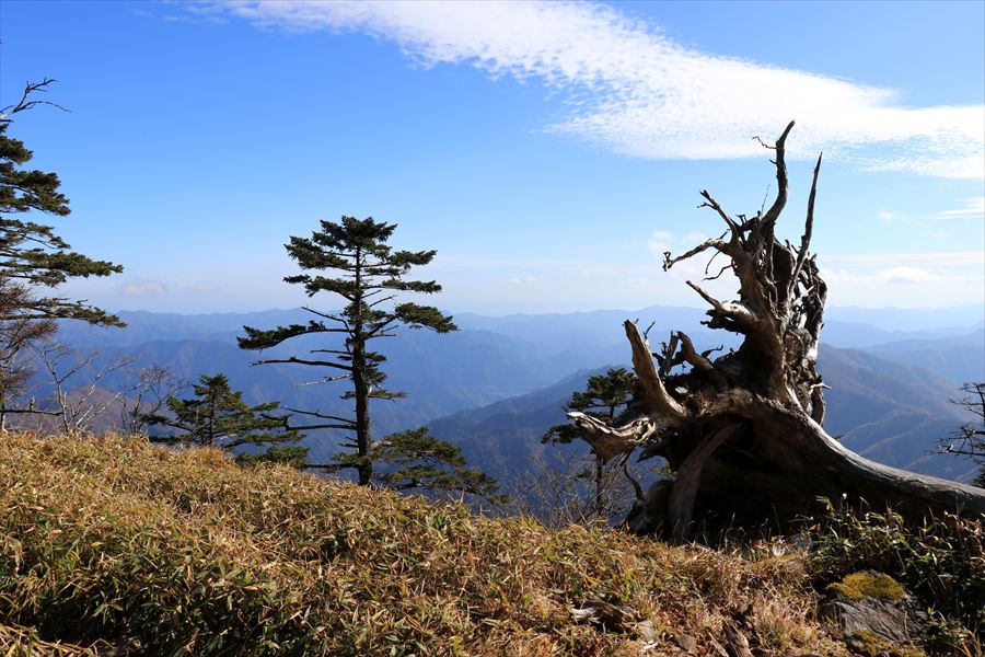 f:id:SISIS:20191203014611j:plain f:id:SISIS:20191203014611j:plain