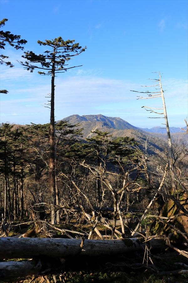 f:id:SISIS:20191203014637j:plain f:id:SISIS:20191203014637j:plain