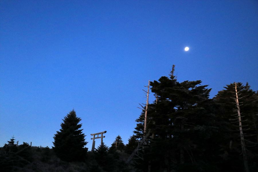 f:id:SISIS:20191206170359j:plain f:id:SISIS:20191206170359j:plain
