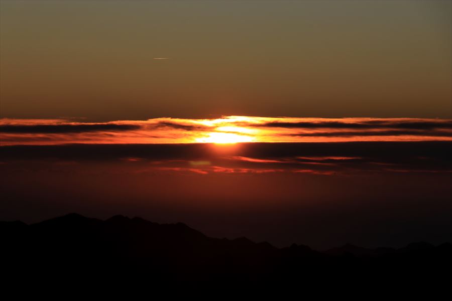 f:id:SISIS:20191206170414j:plain f:id:SISIS:20191206170414j:plain