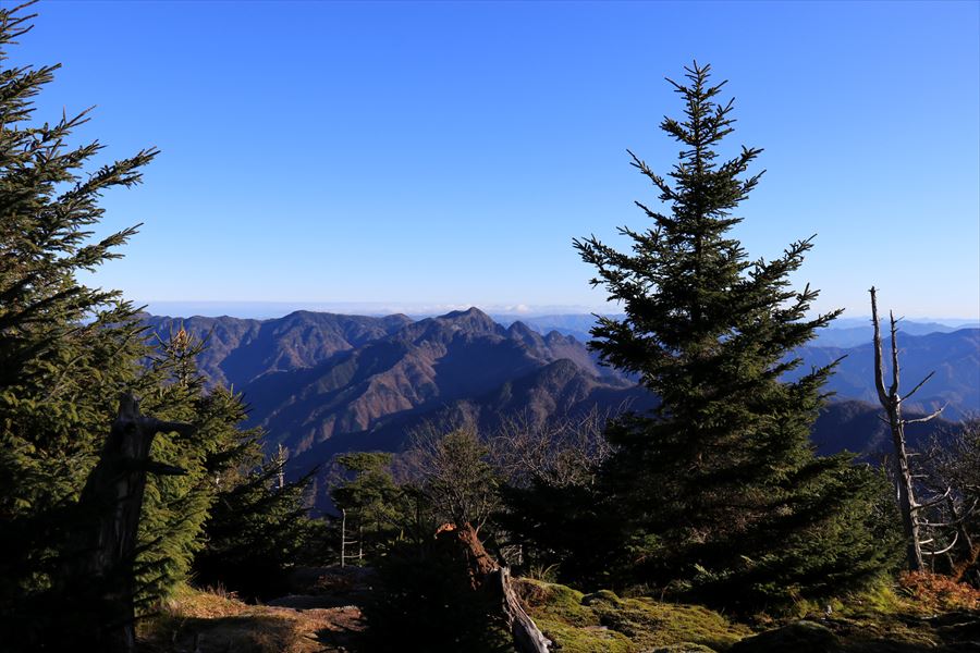 f:id:SISIS:20191206170609j:plain
