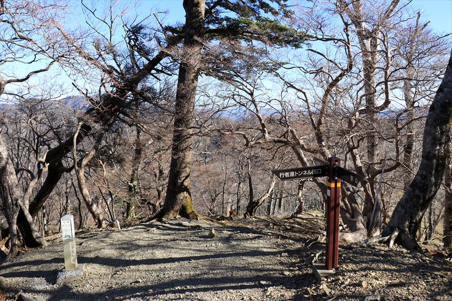 f:id:SISIS:20191206170648j:plain