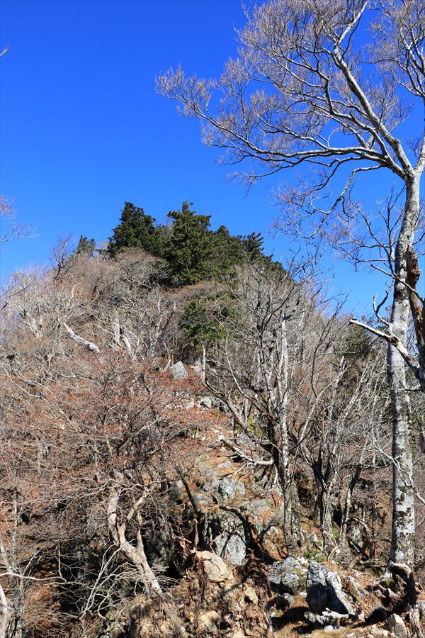 f:id:SISIS:20191206170816j:plain f:id:SISIS:20191206170816j:plain