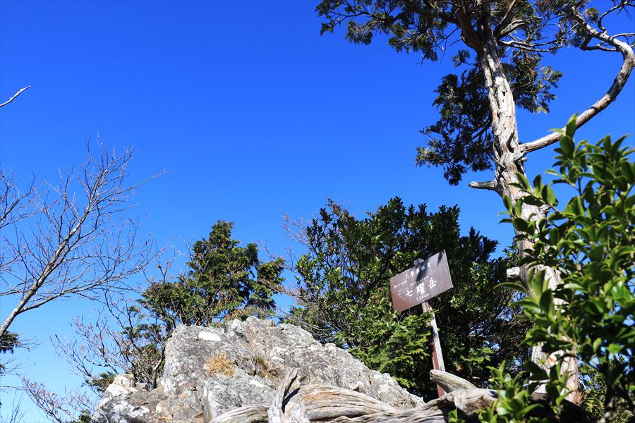 f:id:SISIS:20191206170830j:plain