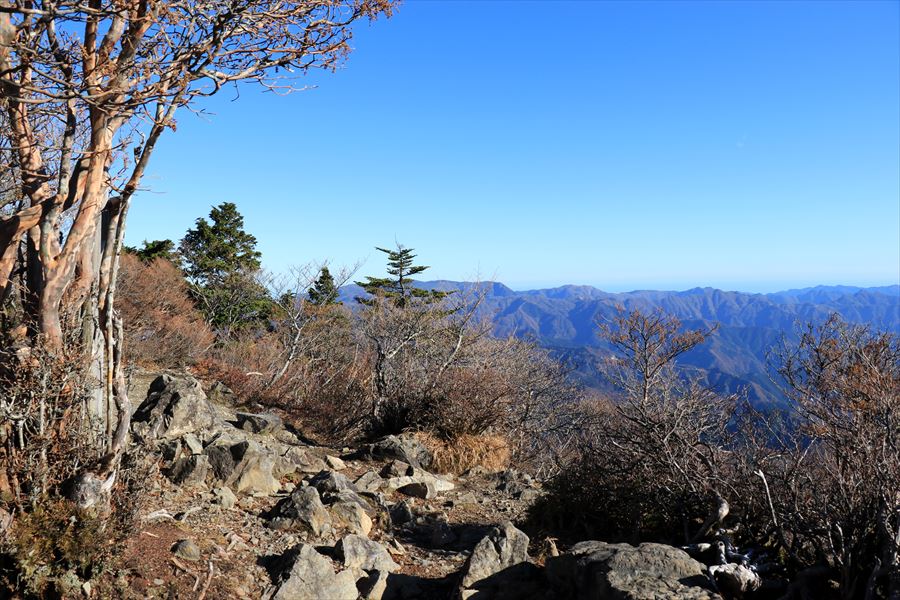 f:id:SISIS:20191206171029j:plain f:id:SISIS:20191206171029j:plain