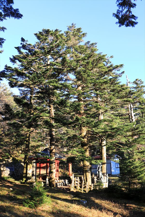 f:id:SISIS:20191206171128j:plain f:id:SISIS:20191206171128j:plain