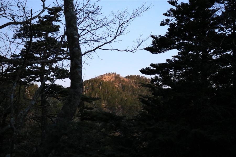 f:id:SISIS:20191209013327j:plain f:id:SISIS:20191209013327j:plain