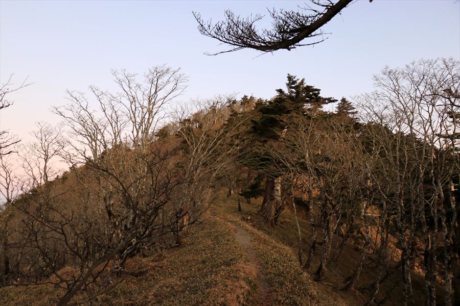 f:id:SISIS:20191209013332j:plain f:id:SISIS:20191209013332j:plain