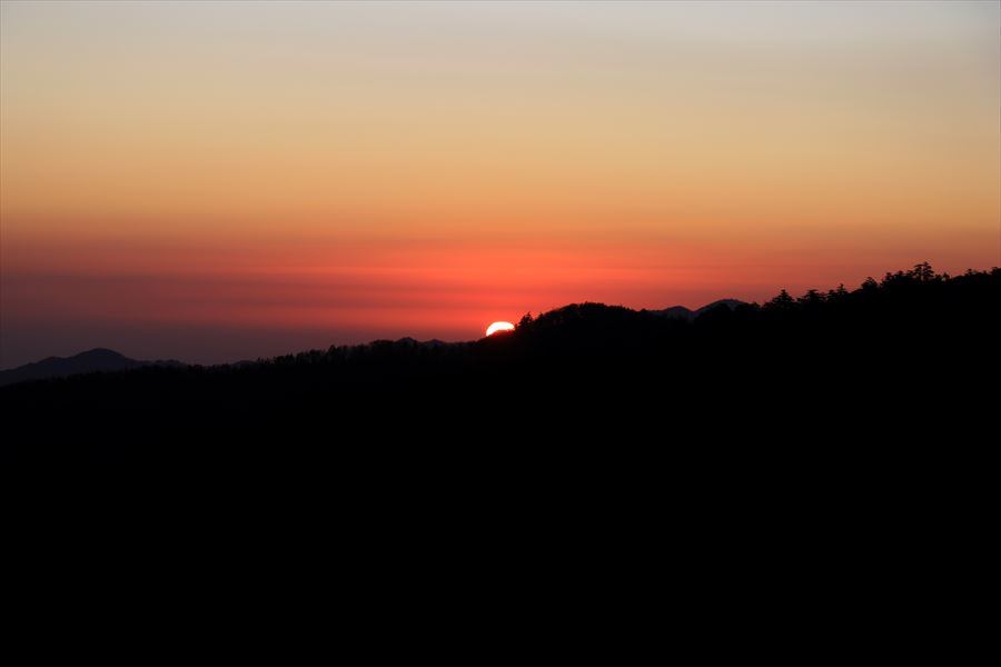 f:id:SISIS:20191209013342j:plain f:id:SISIS:20191209013342j:plain