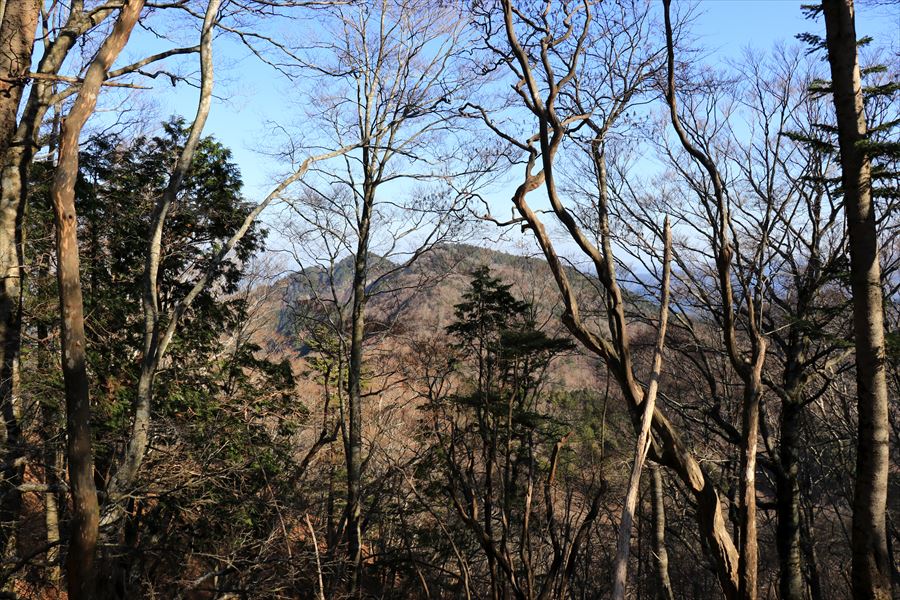f:id:SISIS:20191209013616j:plain f:id:SISIS:20191209013616j:plain