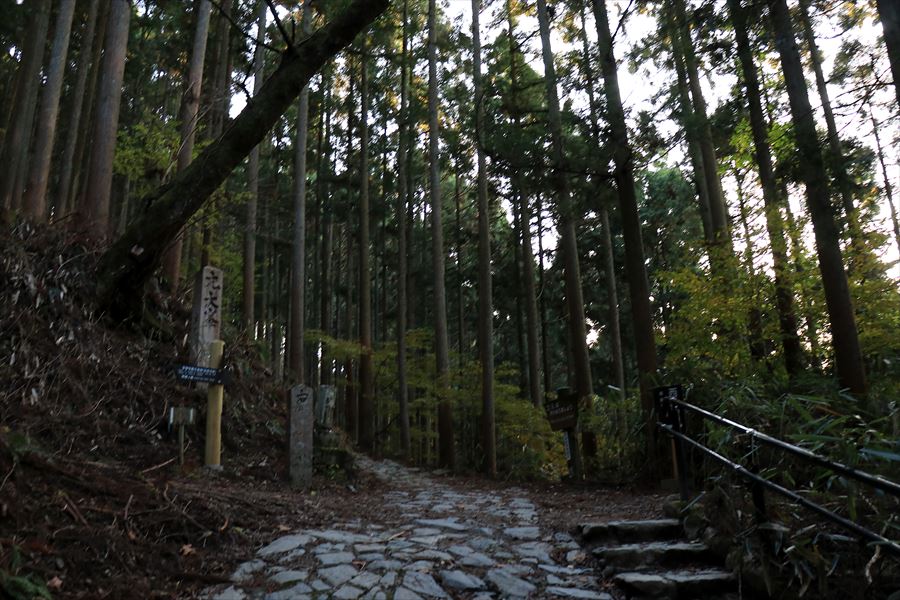 f:id:SISIS:20191209013808j:plain f:id:SISIS:20191209013808j:plain