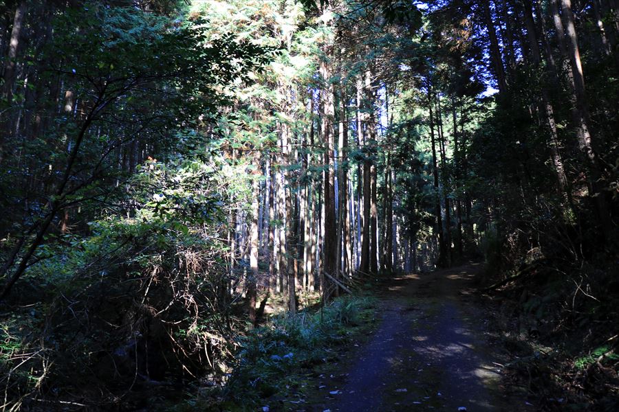 f:id:SISIS:20191210174119j:plain f:id:SISIS:20191210174119j:plain