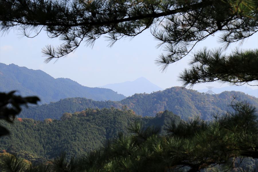 f:id:SISIS:20191210174207j:plain f:id:SISIS:20191210174207j:plain