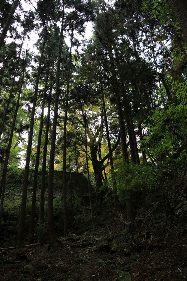 f:id:SISIS:20191210174252j:plain f:id:SISIS:20191210174252j:plain