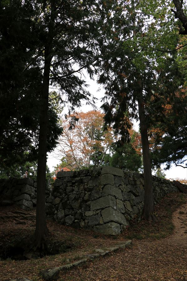f:id:SISIS:20191210174342j:plain f:id:SISIS:20191210174342j:plain