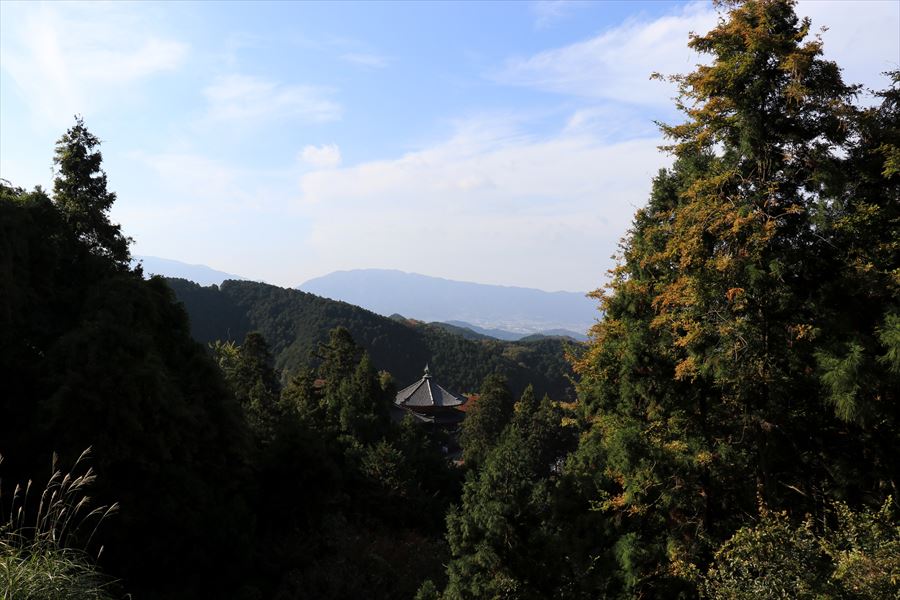 f:id:SISIS:20191210174430j:plain f:id:SISIS:20191210174430j:plain