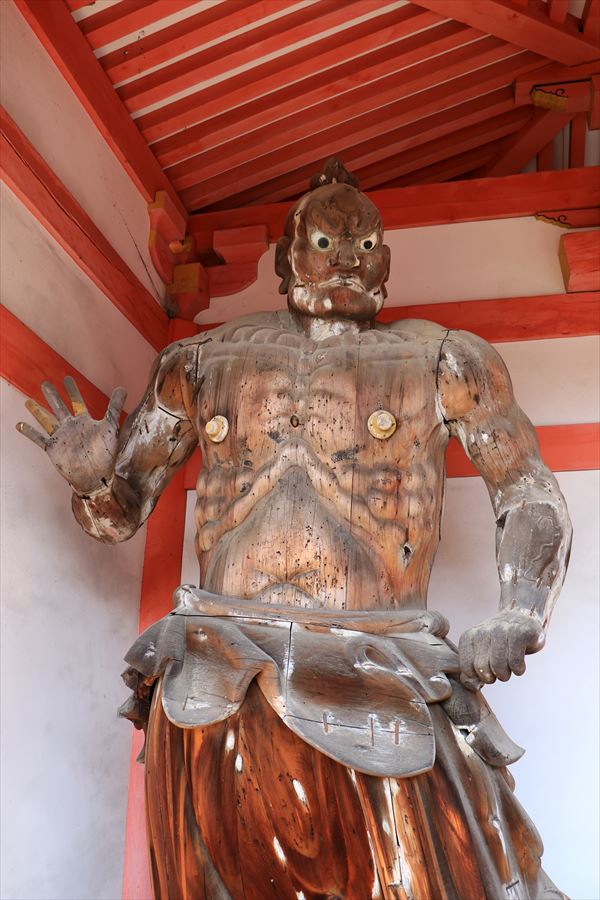 f:id:SISIS:20191210174500j:plain f:id:SISIS:20191210174500j:plain