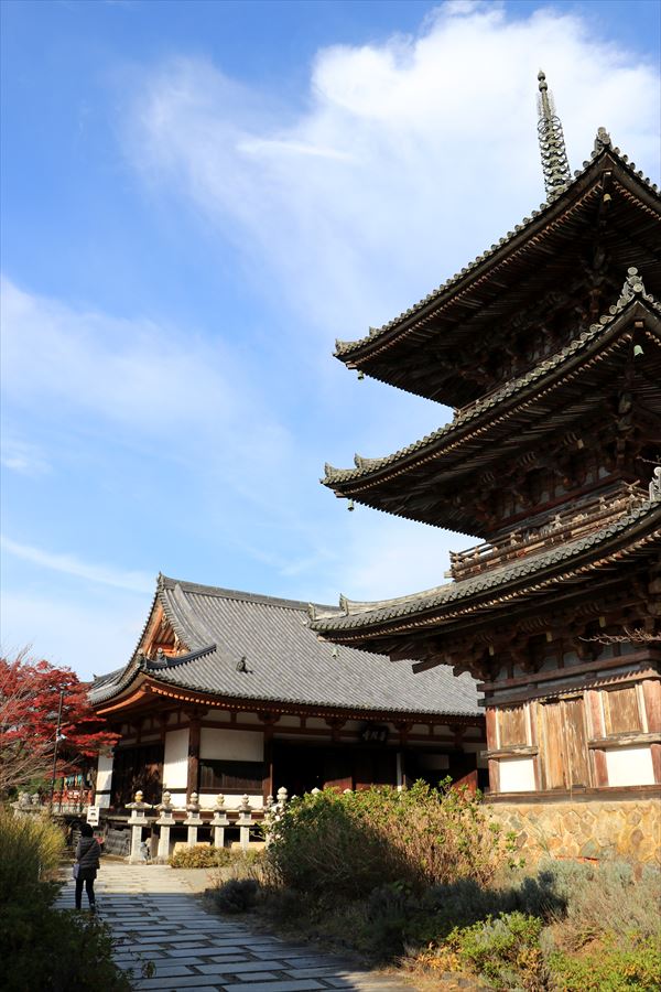 f:id:SISIS:20191210174506j:plain f:id:SISIS:20191210174506j:plain
