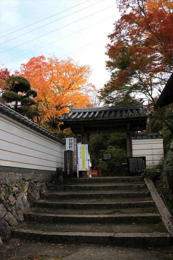 f:id:SISIS:20191212180238j:plain f:id:SISIS:20191212180238j:plain