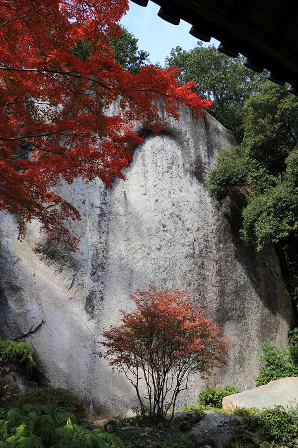 f:id:SISIS:20191212180248j:plain f:id:SISIS:20191212180248j:plain