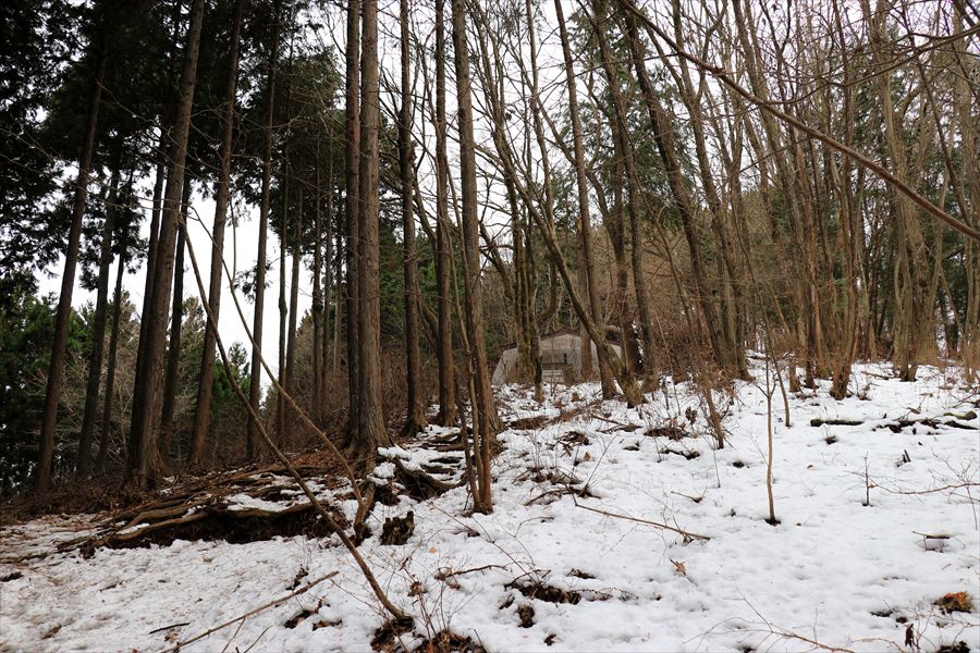 f:id:SISIS:20191228155755j:plain f:id:SISIS:20191228155755j:plain