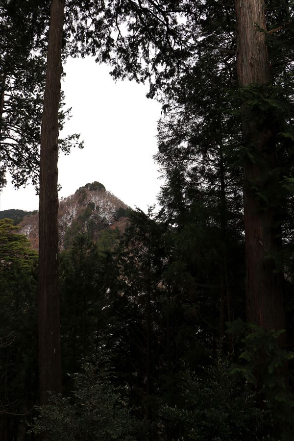 f:id:SISIS:20191228155915j:plain f:id:SISIS:20191228155915j:plain