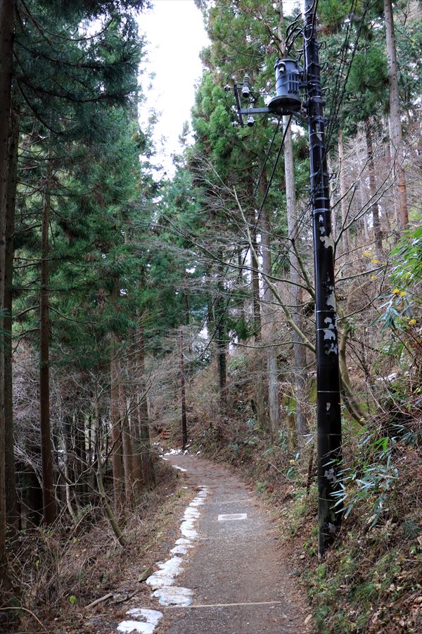 f:id:SISIS:20191228155928j:plain f:id:SISIS:20191228155928j:plain