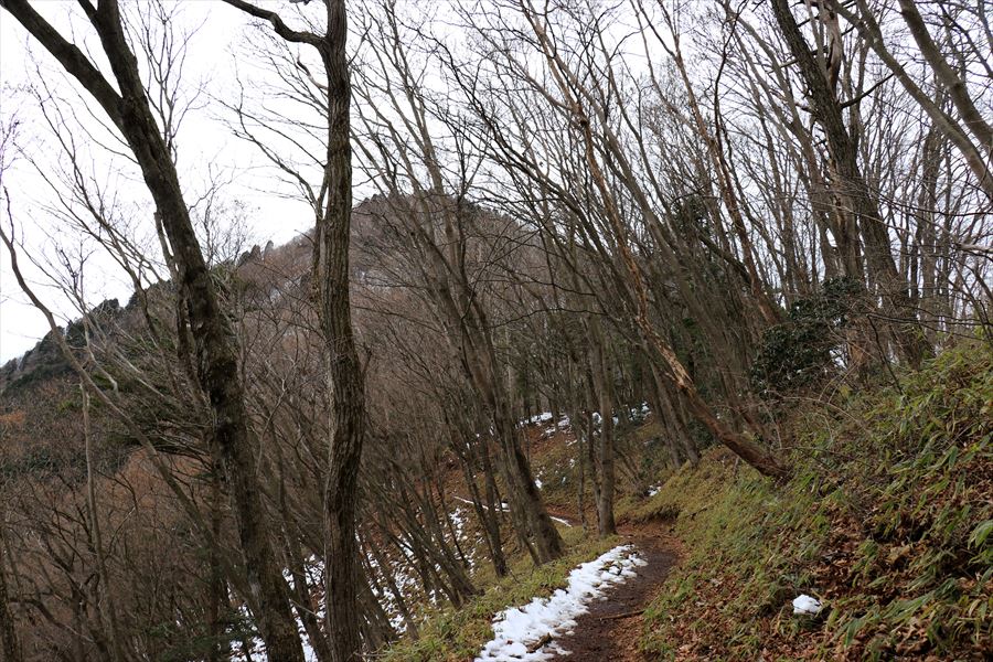 f:id:SISIS:20191228160317j:plain f:id:SISIS:20191228160317j:plain