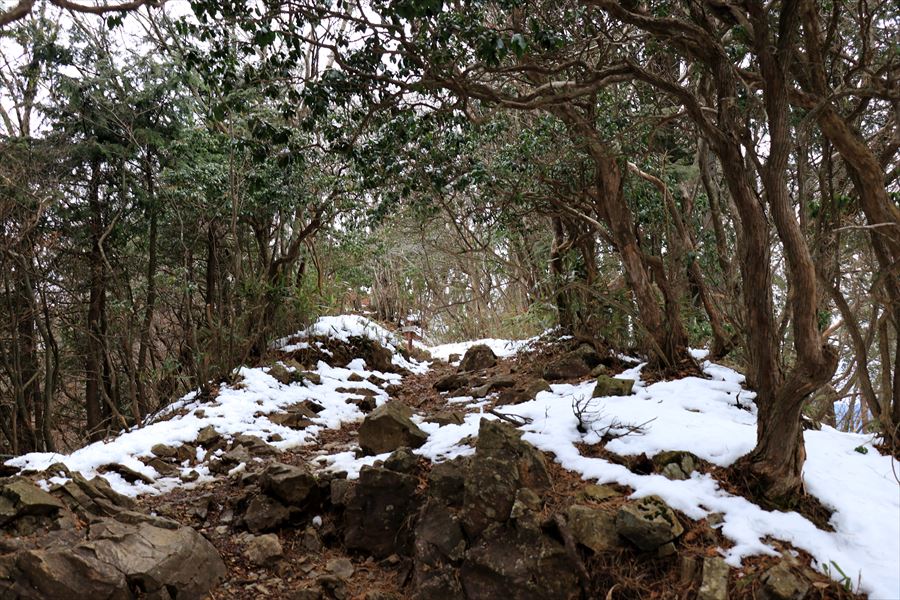 f:id:SISIS:20191228160350j:plain f:id:SISIS:20191228160350j:plain