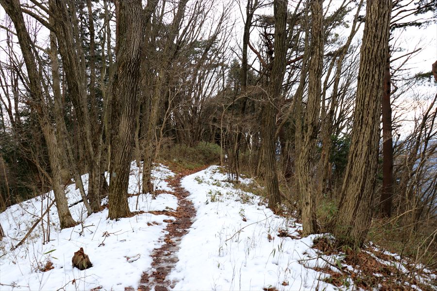 f:id:SISIS:20191228160446j:plain f:id:SISIS:20191228160446j:plain