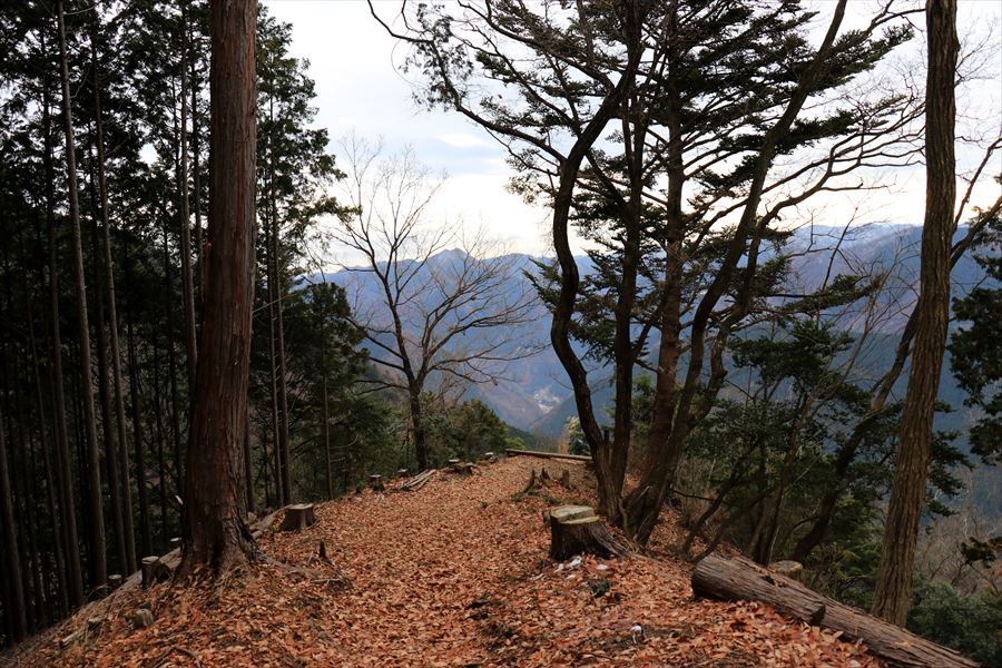 f:id:SISIS:20191228160455j:plain f:id:SISIS:20191228160455j:plain