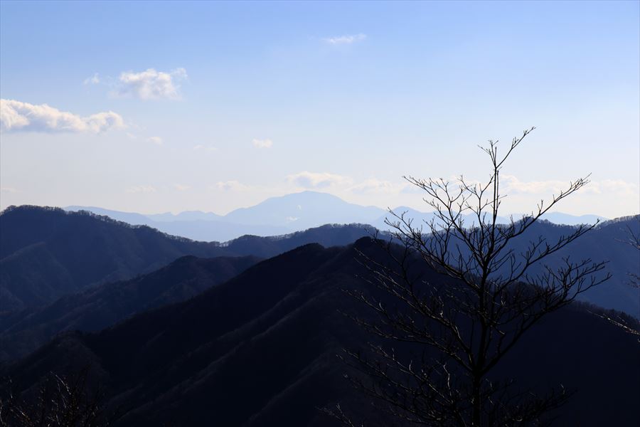 f:id:SISIS:20200115211316j:plain f:id:SISIS:20200115211316j:plain