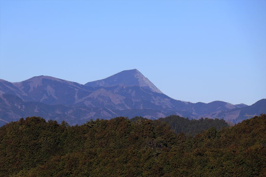 f:id:SISIS:20200312084911j:plain f:id:SISIS:20200312084911j:plain