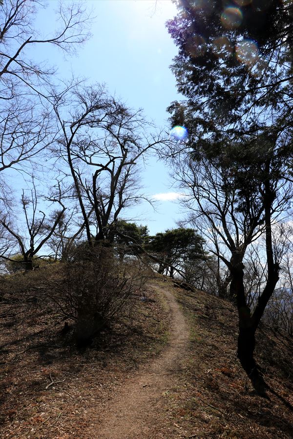 f:id:SISIS:20200312124219j:plain f:id:SISIS:20200312124219j:plain