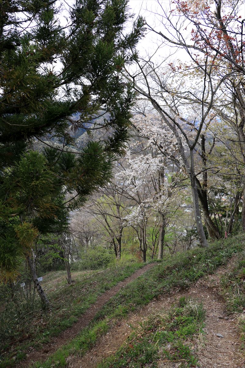 f:id:SISIS:20200418010923j:plain f:id:SISIS:20200418010923j:plain
