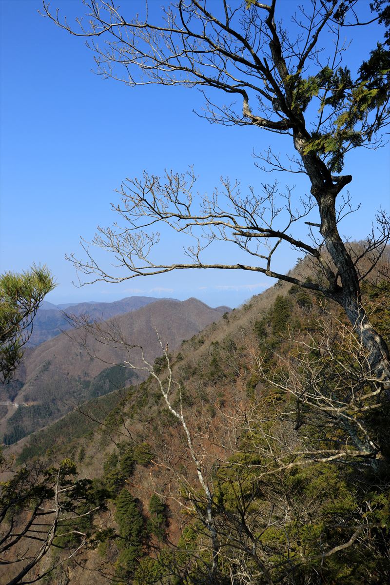f:id:SISIS:20200503220712j:plain