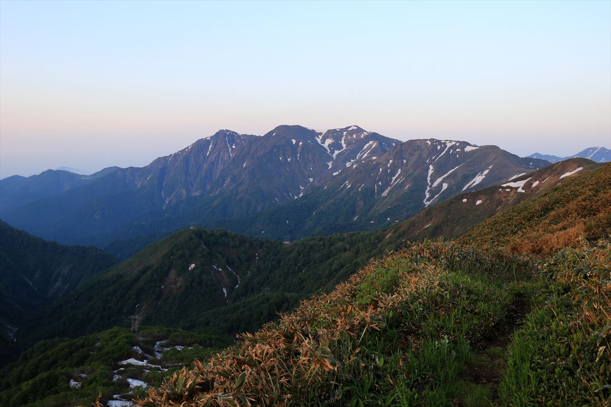 f:id:SISIS:20200615210815j:plain