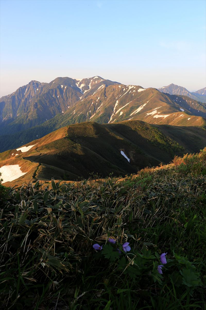 f:id:SISIS:20200615210932j:plain