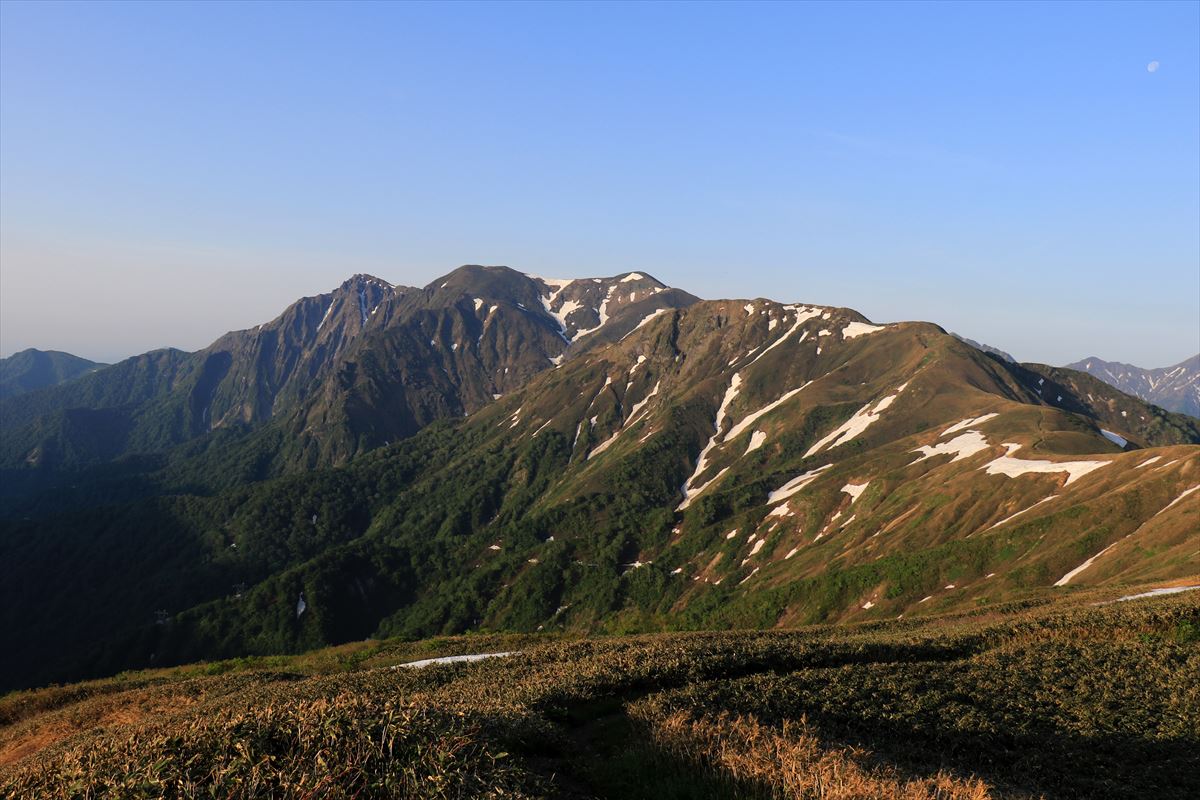 f:id:SISIS:20200615210951j:plain