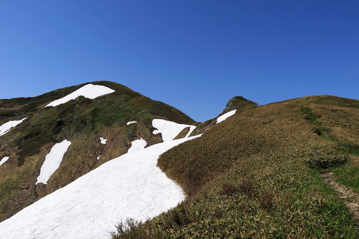 f:id:SISIS:20200615211209j:plain