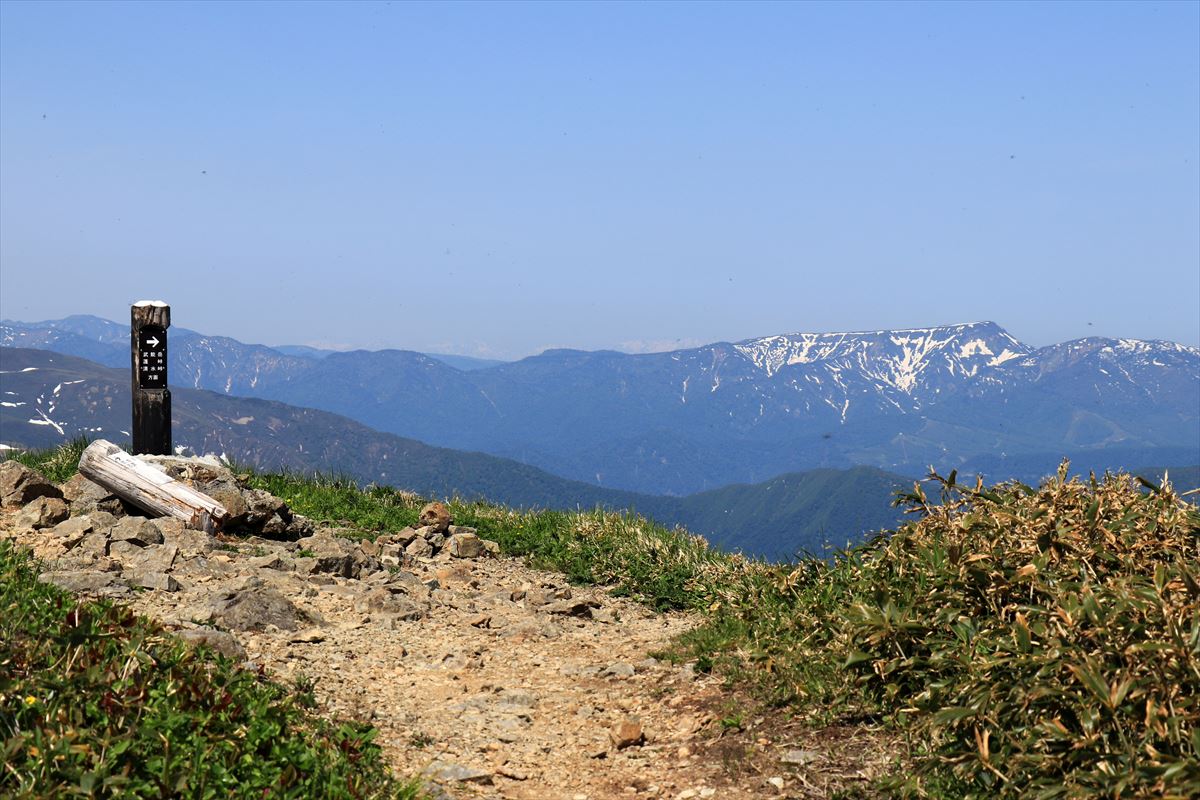 f:id:SISIS:20200615211302j:plain