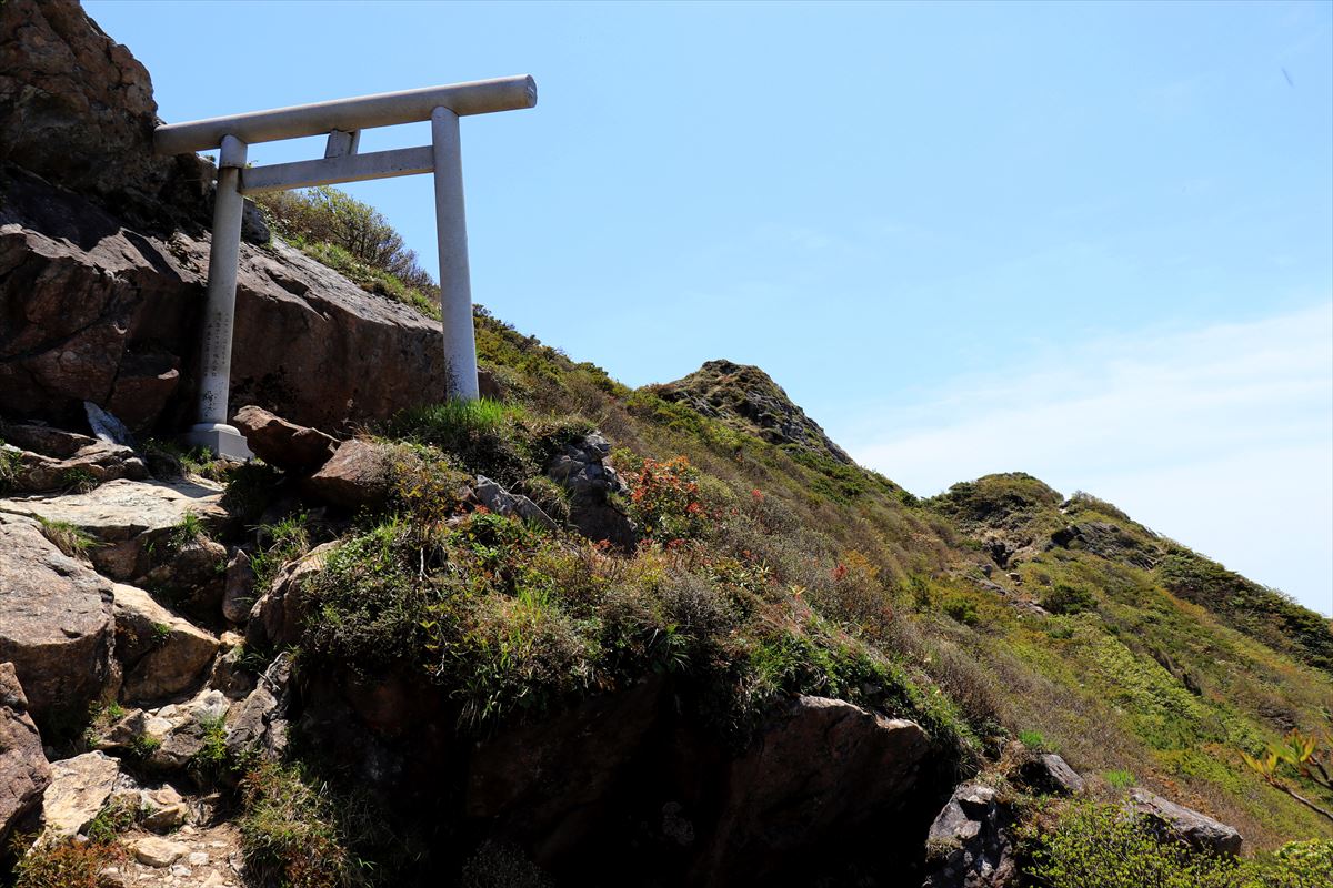 f:id:SISIS:20200615211428j:plain