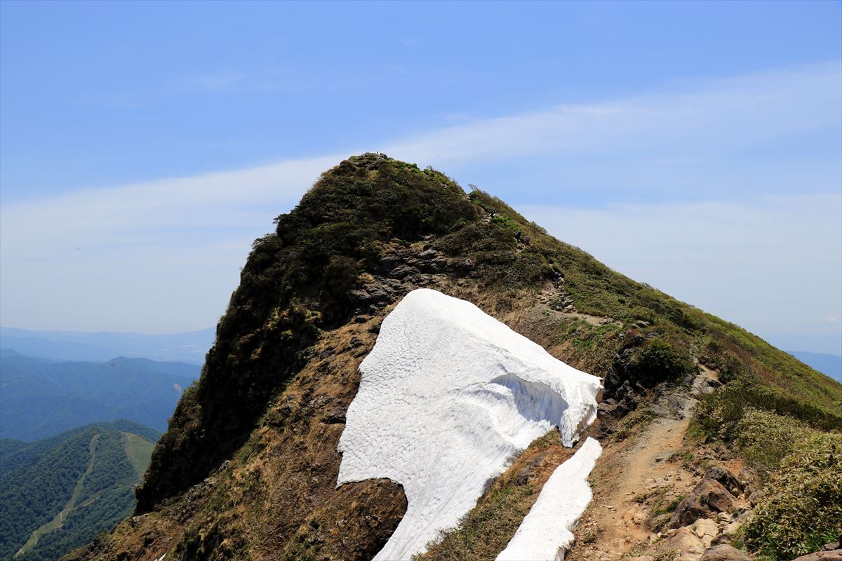 f:id:SISIS:20200615211509j:plain