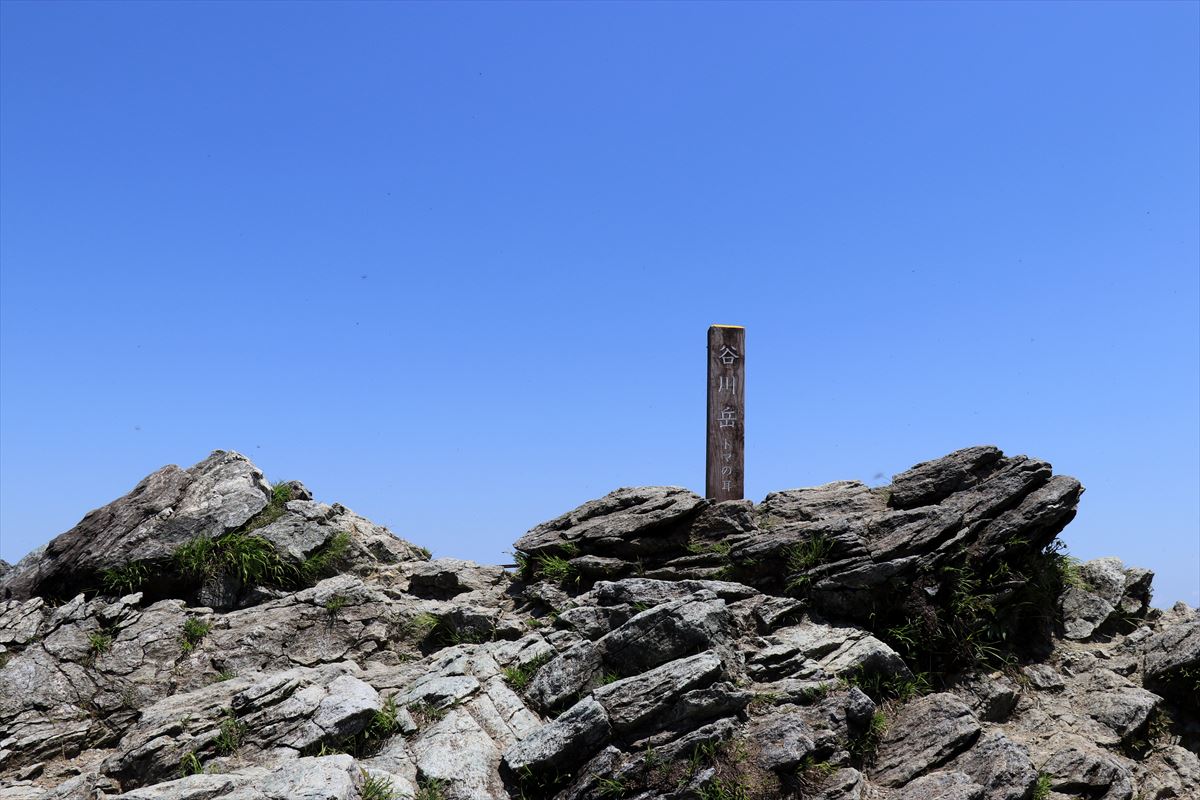 f:id:SISIS:20200615211519j:plain