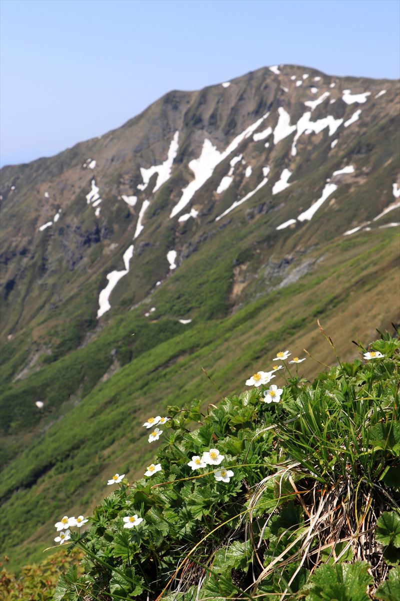 f:id:SISIS:20200615211555j:plain