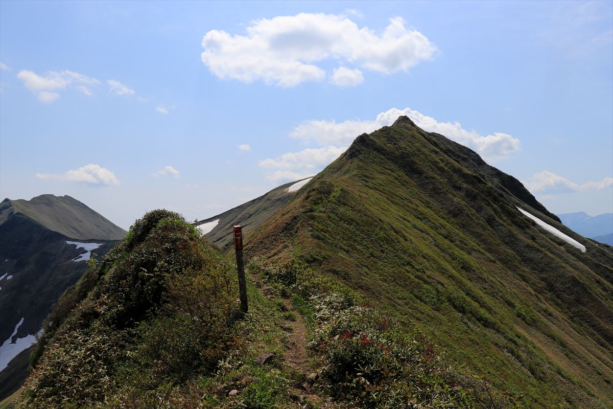 f:id:SISIS:20200615211612j:plain