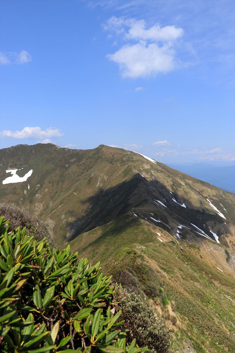 f:id:SISIS:20200615211633j:plain